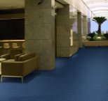 Carpet for Corporate