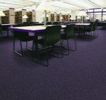 Carpet for Education